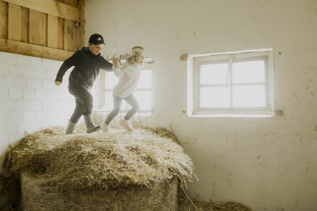 277 - Hofmarkt_277, © Gut Marihn GmbH & Co. KG