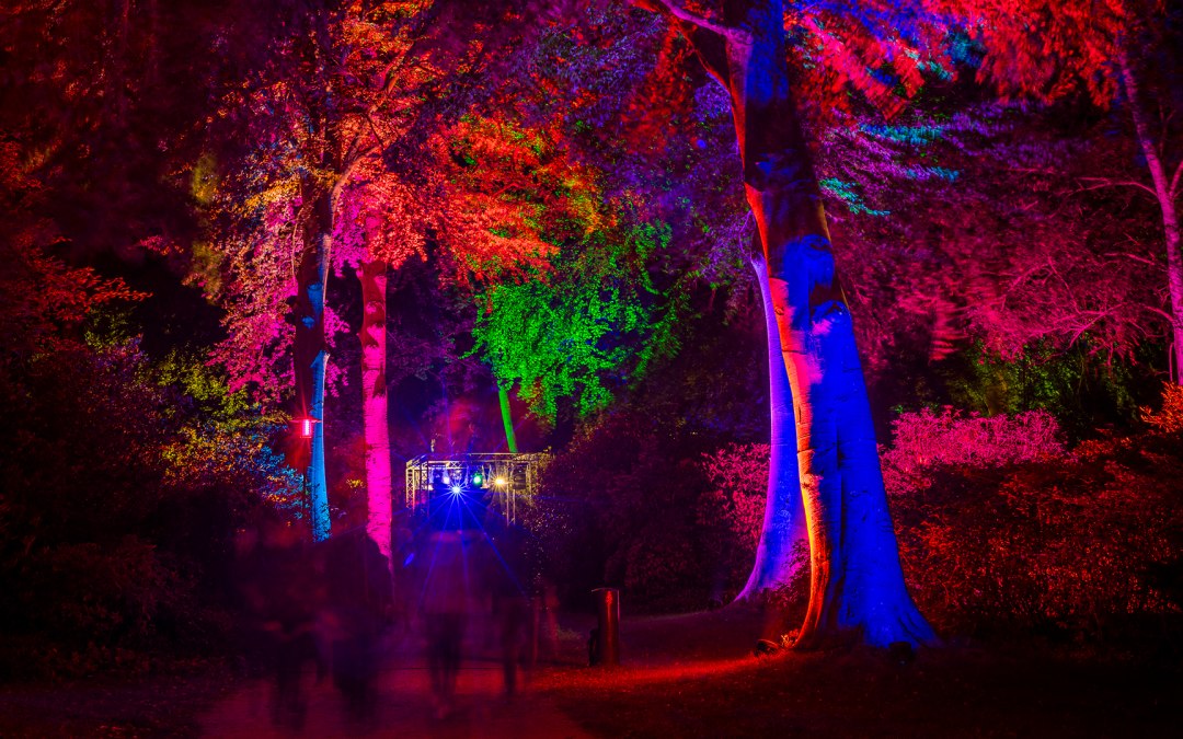 "Nacht in het park" - een ontspannen licht kunstevenement, © André Pristaff / Tourismus- und Kur GmbH Graal-Müritz