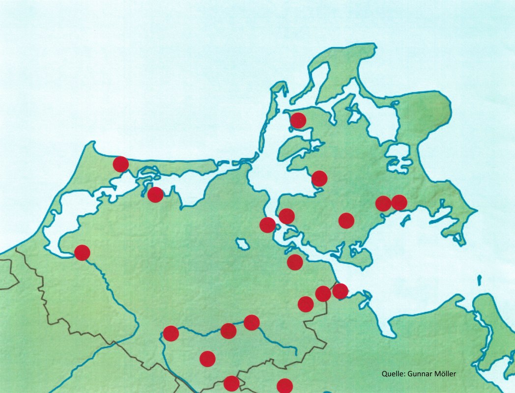 &copy; Gunnar M&ouml;ller