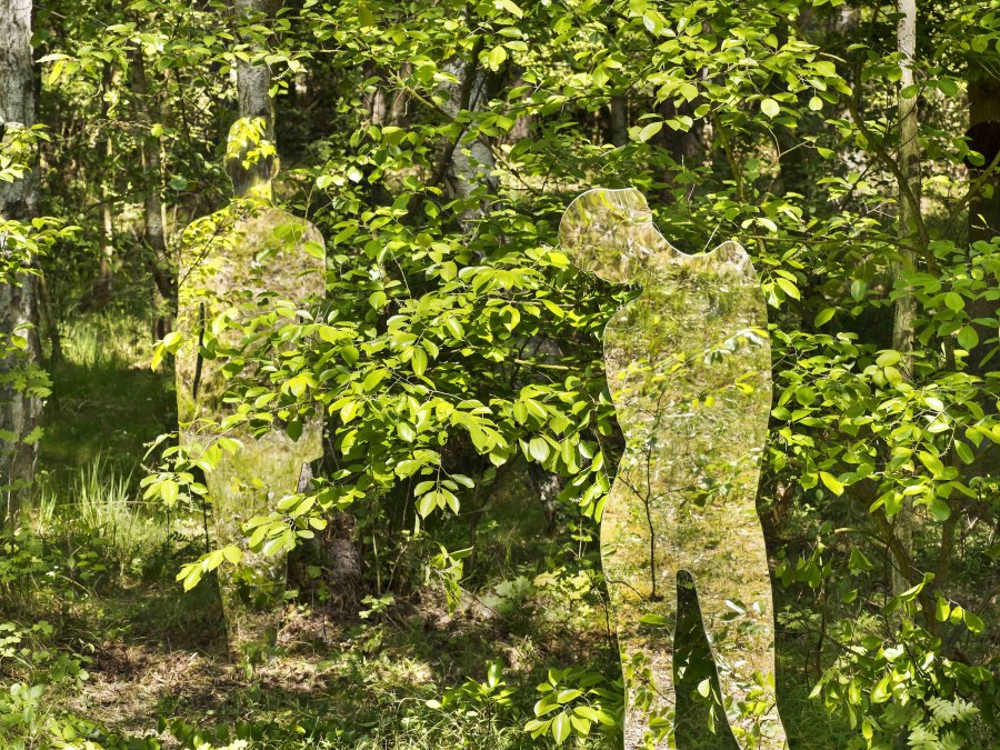 rob_mulholland-thephotodesigner, © Rob_Mulholland© diephotodesigner