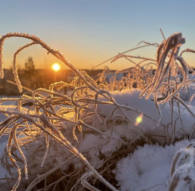Paul Blei van de Vriendenvereniging zal op zoek gaan naar sporen in de sneeuw (als die er zijn), knoppen en twijgen in hun winterse staat herkennen en uitleg geven over de winterslaapstrategieën van insecten. Dus als je zin hebt om na de winter je bloedsomloop weer op gang te brengen en wat frisse lucht in te ademen, ben je van harte uitgenodigd om mee te gaan op deze wandeling rond Schloss Schlitz., © Marin-Ziegler Paul Blei van de Vriendenvereniging zal op zoek gaan naar sporen in de sneeuw (als die er zijn), knoppen en twijgen in hun winterse staat herkennen en uitleg geven over de winterslaapstrategieën van insecten. Dus als je zin hebt om na de winter je bloedsomloop weer op gang te brengen en wat frisse lucht in te ademen, ben je van harte uitgenodigd om mee te gaan op deze wandeling rond Schloss Schlitz., © Marin-Ziegler