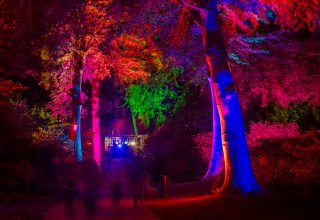 "Night in the park" - a relaxed light art event // &copy; Andr&eacute; Pristaff / Tourismus- und Kur GmbH Graal-M&uuml;ritz