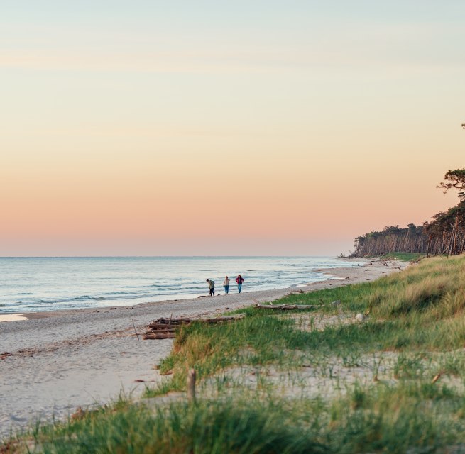 Een idyllische wandeling op het westelijke strand van de Darß: drie mensen genieten van de zonsondergang terwijl de kust in warme kleuren oplicht en de natuur tot rust komt.