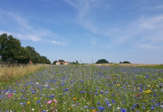 View of the Sietow country house, &copy; TMV/UB