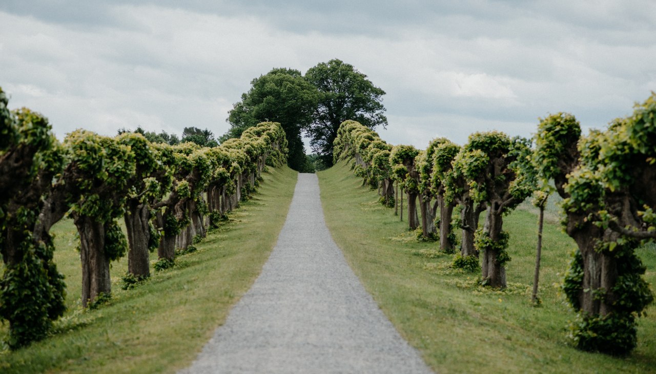 Feston Avenue przed Pałacem Bothmer, &copy; Fotowerker - Ganzer&Berg