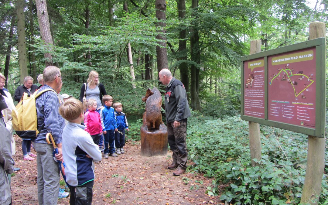 Forestry office tours the forest