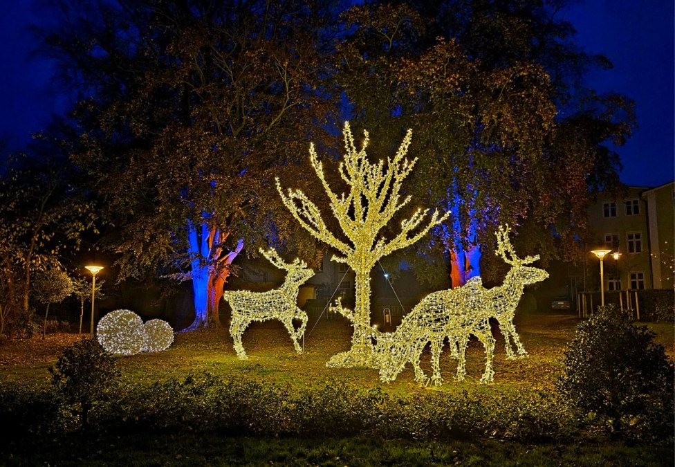 Lichterpark-Rietschel, © Michael Rietschel