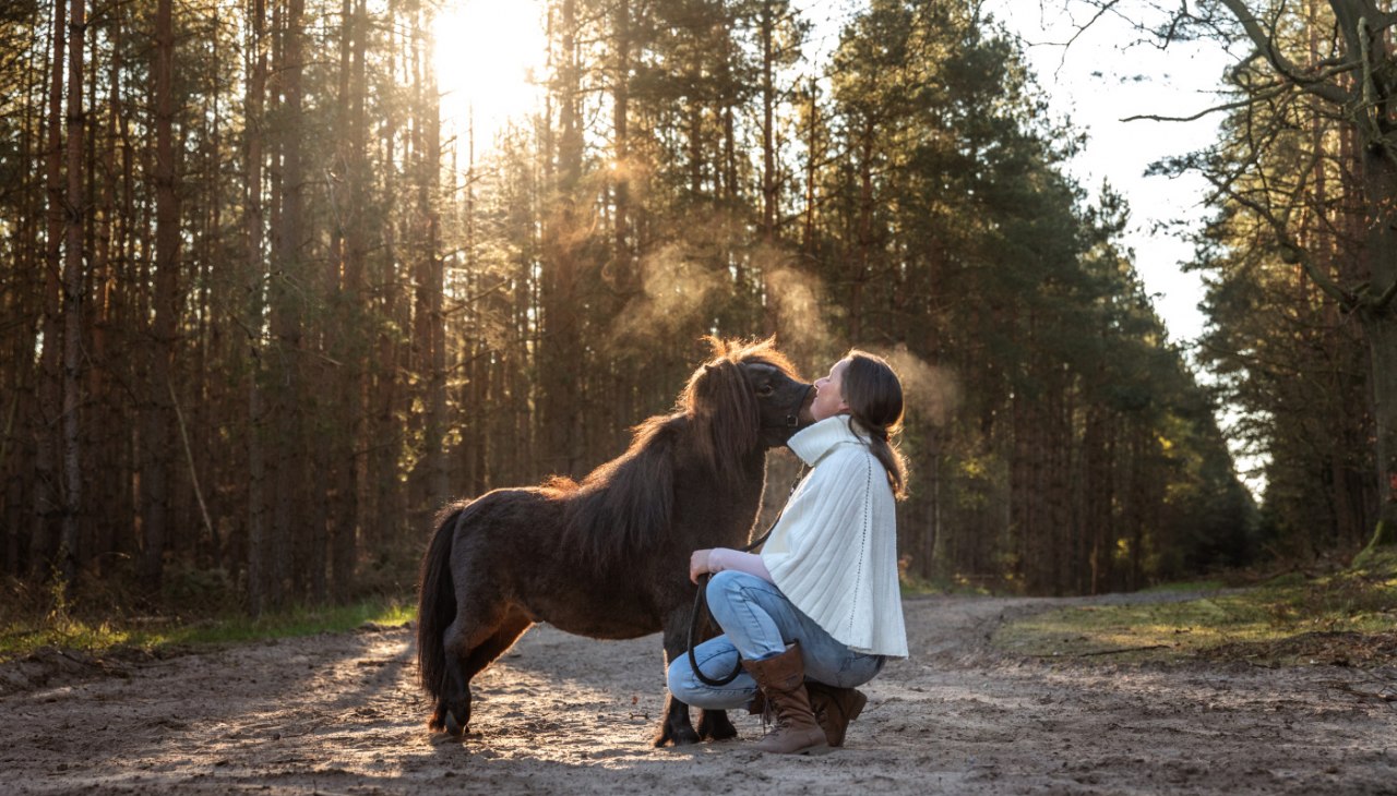 Kucyk przytulanka, © Anniemal Fotografie Kucyk przytulanka, © Anniemal Fotografie
