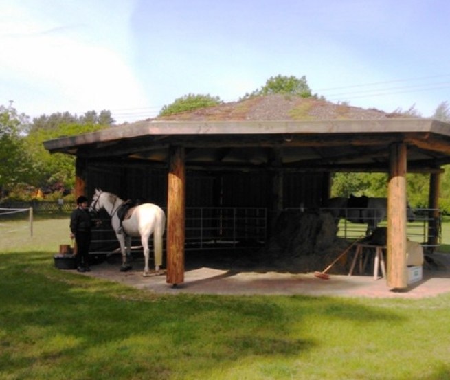 In der Ferienanlage Am Walde k&ouml;nnen Ross und Reiter idyllisch entspannen und ausspannen. // &copy; Thamm