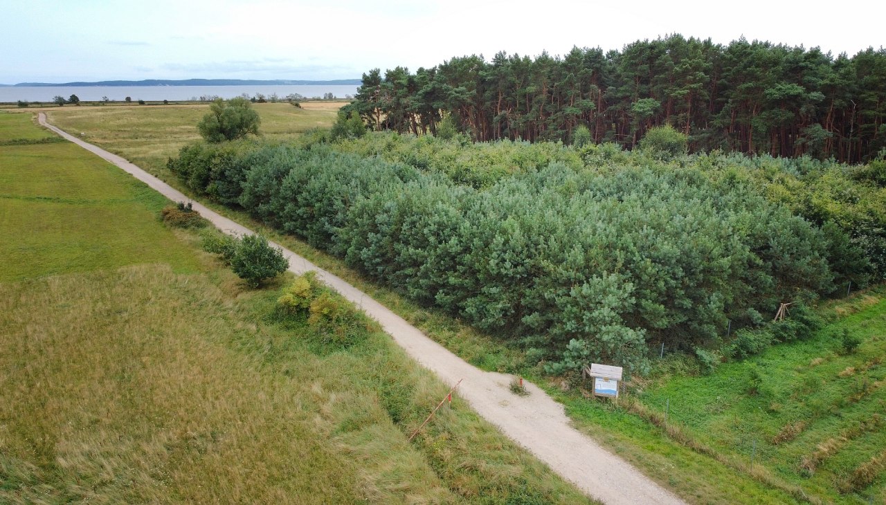 Klimatyczny las Glowe widok z lotu ptaka, © Landesforst MV Klimatyczny las Glowe widok z lotu ptaka, © Landesforst MV
