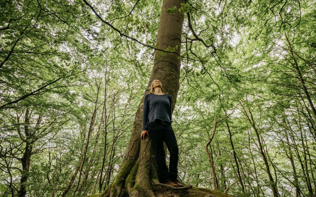 Wandeling: De helende kracht van het kustbos, © Binzer Bucht Tourismus