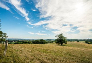 &copy; Christin Dr&uuml;hl