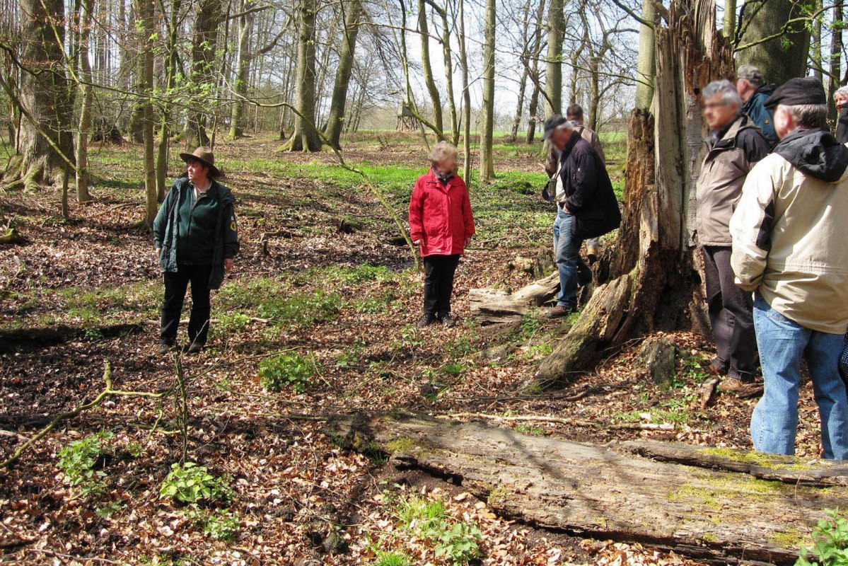 Ranger_Colell_Fuehrung_Feldgehoelze_BRA, © Biosphärenreservat Schaalsee-Elbe Ranger_Colell_Fuehrung_Feldgehoelze_BRA, © Biosphärenreservat Schaalsee-Elbe