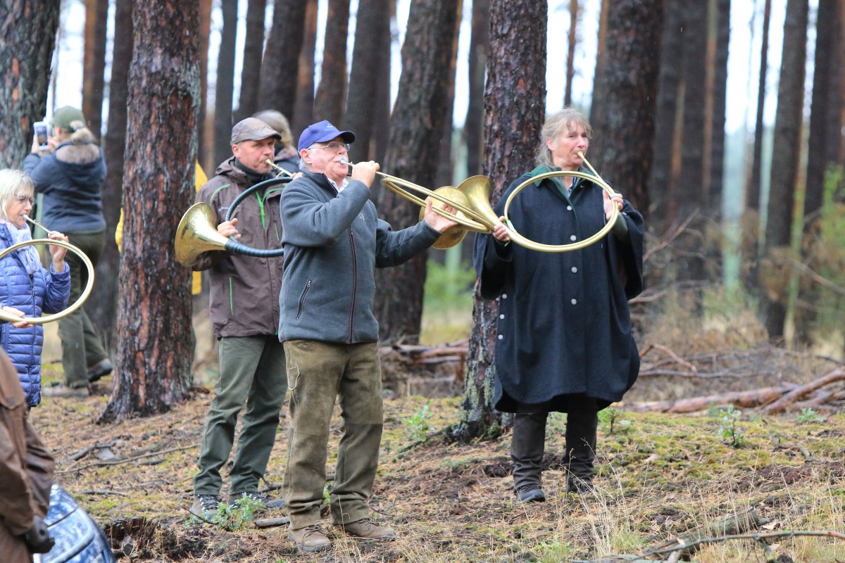 © Sven Strauß © Sven Strauß