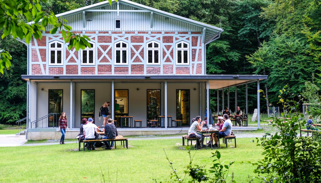 world-heritage-forum-outside-view-in-summer, &copy; NZK-Lehmann