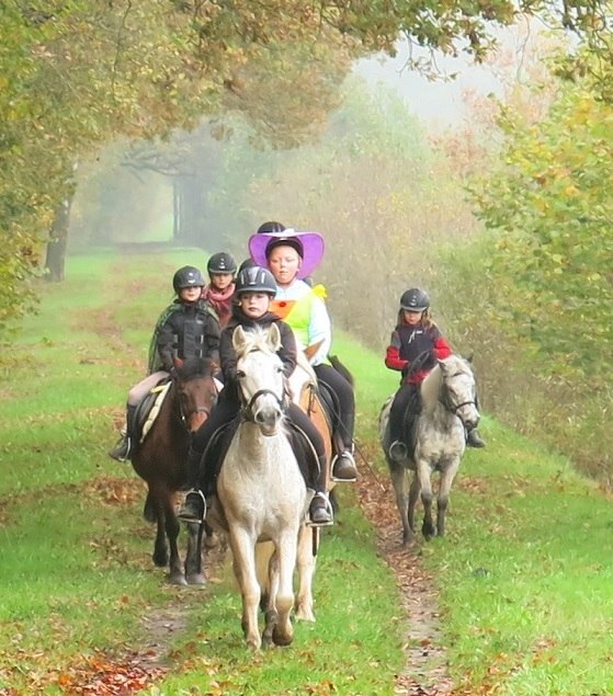 Jazda konna Krajobraz Morza Bałtyckiego, © bernsteinreiter