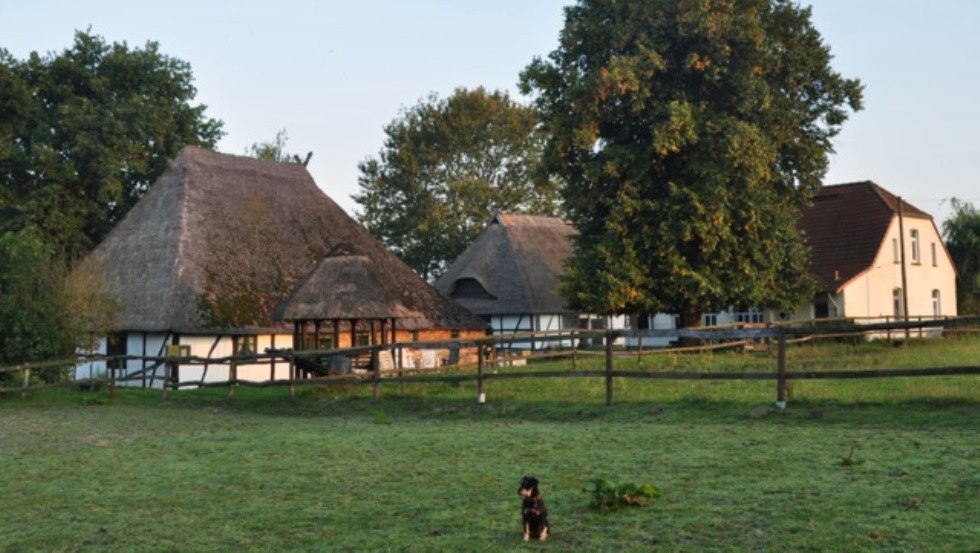 Paardenboerderij Schwalbennest: Uitzicht op onze kleine, door een familie gerunde manege in Jörnstorf, waar jij en je huisdieren van harte welkom zijn. // © Pferdehof Schwalbennest/ Rauth Paardenboerderij Schwalbennest: Uitzicht op onze kleine, door een familie gerunde manege in Jörnstorf, waar jij en je huisdieren van harte welkom zijn. // © Pferdehof Schwalbennest/ Rauth