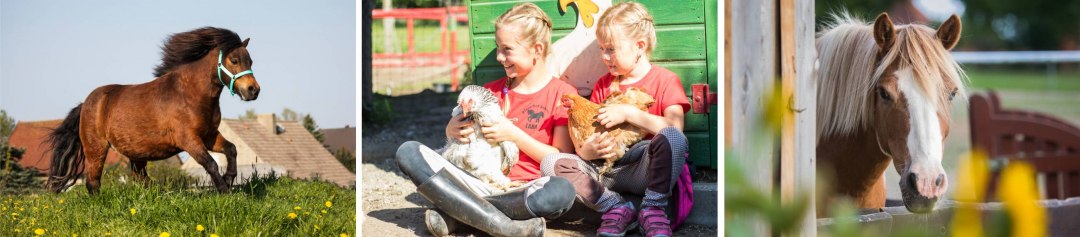 Pferdehof-scholz, © Pferdehof Scholz Pferdehof-scholz, © Pferdehof Scholz