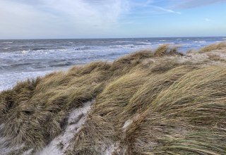 © Nationalparkamt Vorpommern © Nationalparkamt Vorpommern