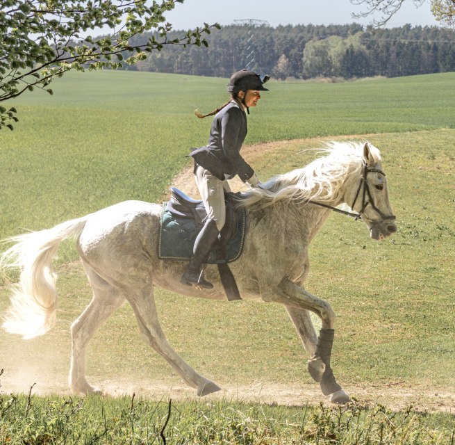 Reitjagd // © Martha Eugenia Bende Reitjagd // © Martha Eugenia Bende