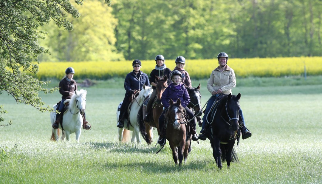 Trail ride over green meadows at the edge of the forest, &copy; TMV/Pantel