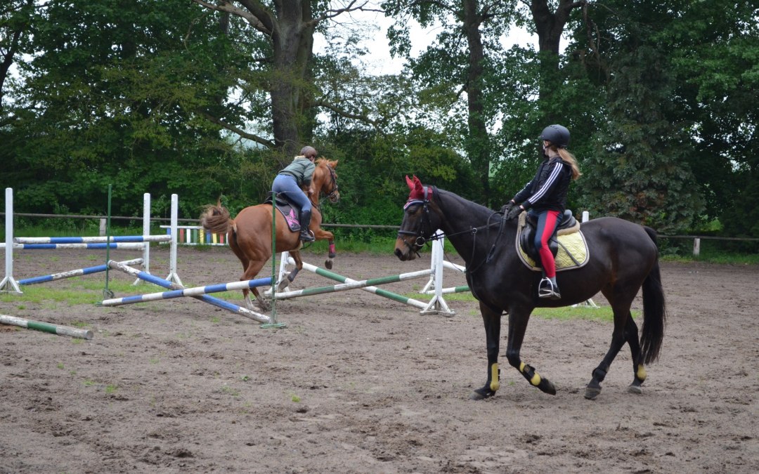 In the riding and driving club Daugzin e.V. you learn riding from the bottom up., © Karoline Görs