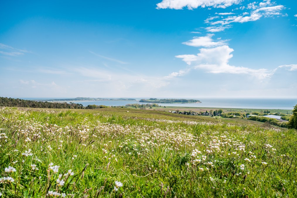 © Fotoart.MirkoBoy © Fotoart.MirkoBoy