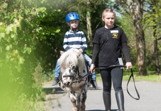 Dzień w stajni dla dzieci w wieku od 6 lat: Jazda konna, zabawy z kucykami, pielęgnacja i opieka od 10 do 15 godz. Dzień pełen wrażeń w stajni. // &copy; de