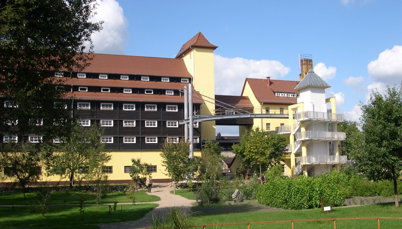 Tamy leśne w pobliżu Jatznik, © Tourismusverband Vorpommern e.V. Tamy leśne w pobliżu Jatznik, © Tourismusverband Vorpommern e.V.