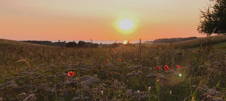 © KV Mönchgut © KV Mönchgut