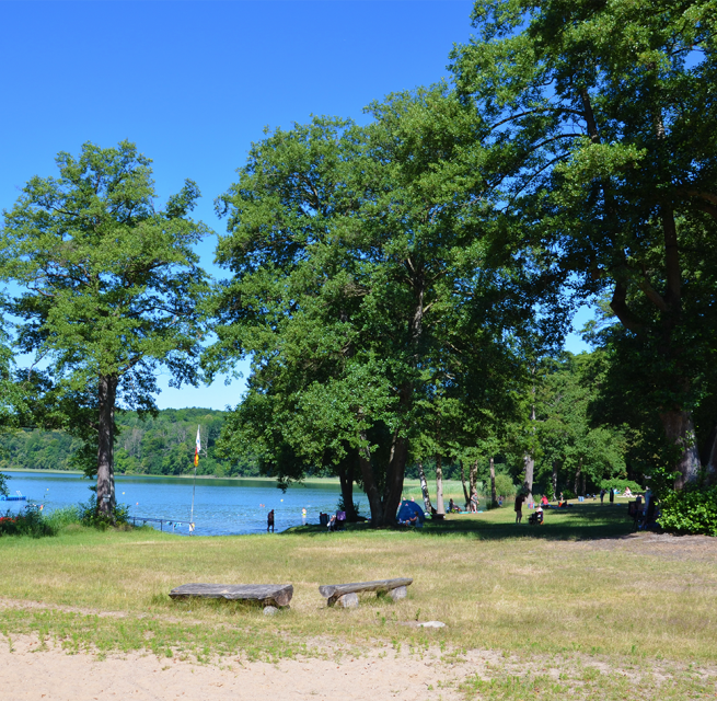 &copy; Martin M&ouml;ller