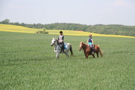 piękny krajobraz, © Foto: Markgraf