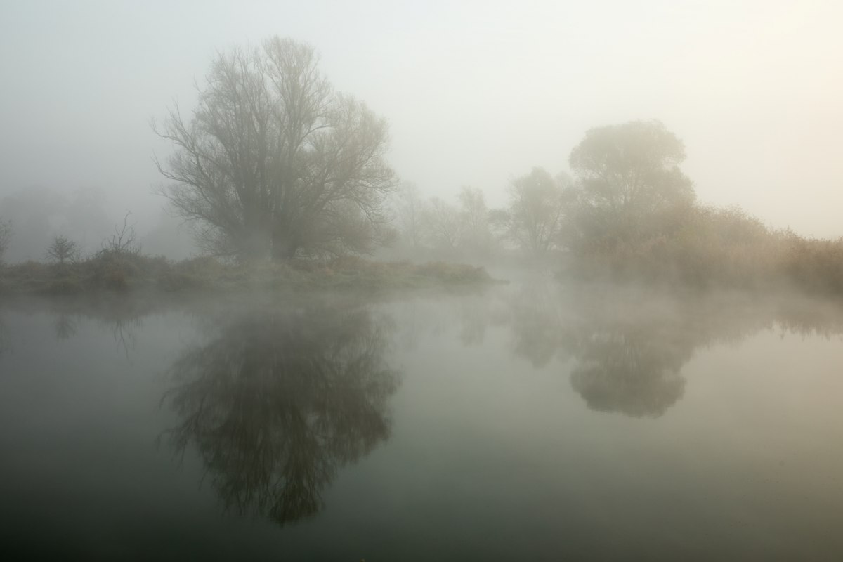 Mglisty poranek na Löcknitz // © Ulf Pipping Mglisty poranek na Löcknitz // © Ulf Pipping