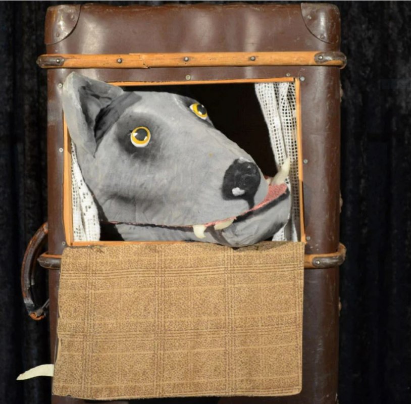 peter-and-the-wolf, &copy; Birgit Schuster