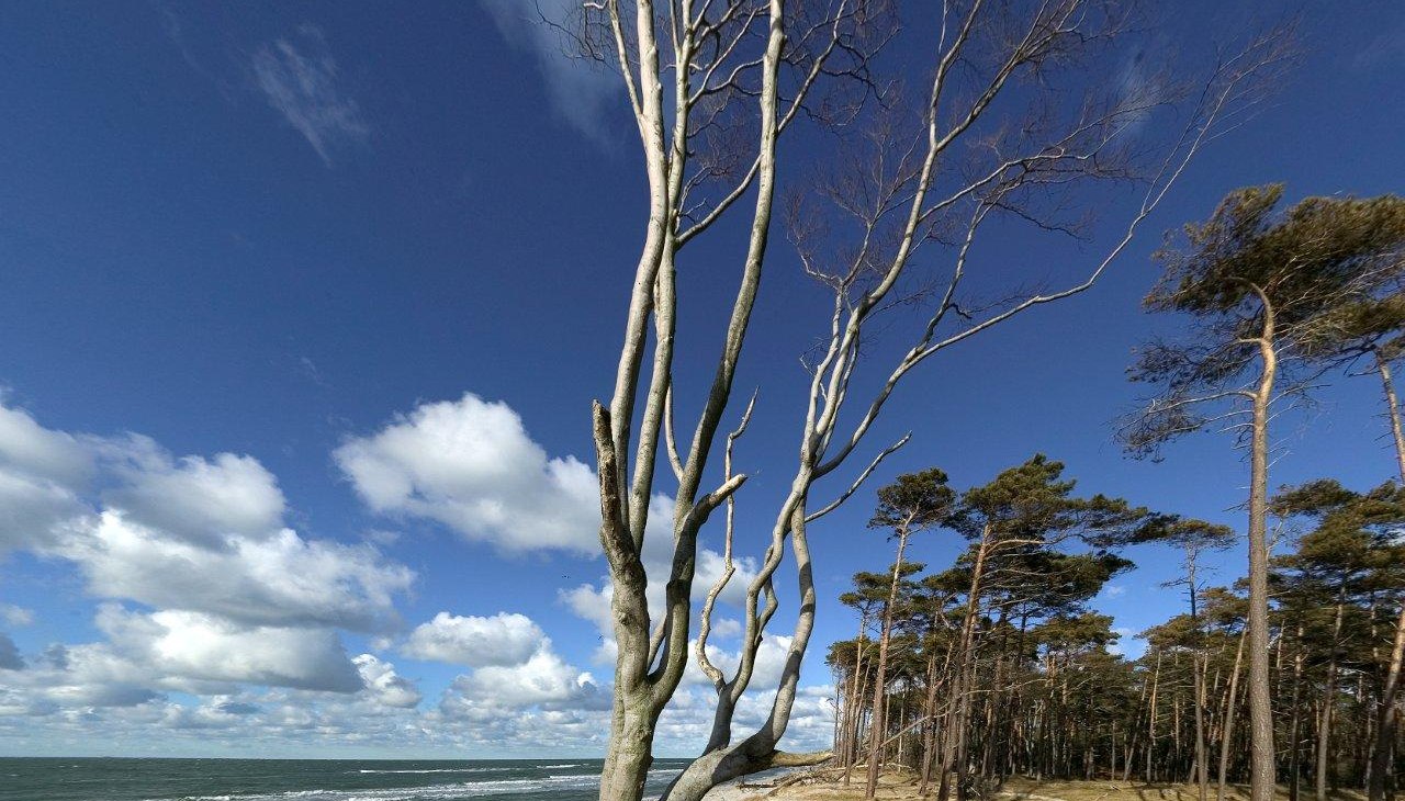 Zachodnia plaża, © TV FDZ Zachodnia plaża, © TV FDZ