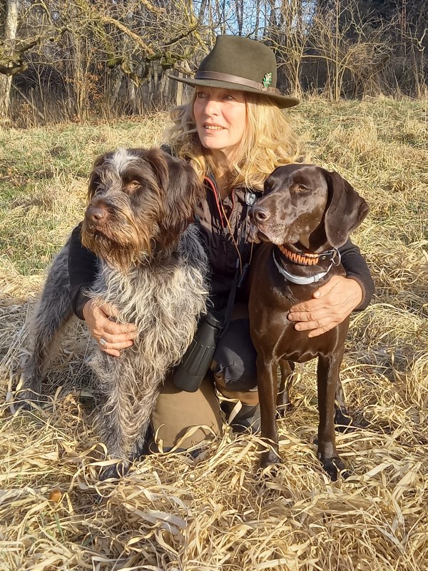German Wirehair and German Shorthair // &copy; Heike Rudolph