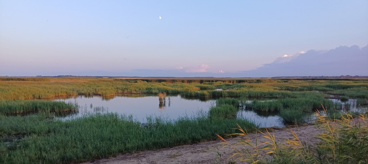 Karrendorfer Wiesen Coastal Floodplain Marsh // © I. Wilden / Michael Succow Stiftung Karrendorfer Wiesen Coastal Floodplain Marsh // © I. Wilden / Michael Succow Stiftung