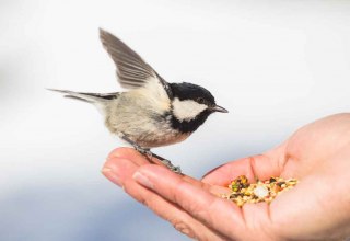 © Erlebnis Akademie AG/NEZR © Erlebnis Akademie AG/NEZR