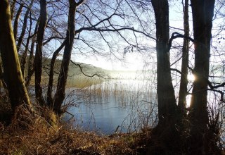 &copy; Andreas Breuer