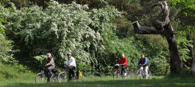 &copy; Waren (M&uuml;ritz) Kur- und Tourismus GmbH