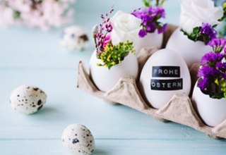 © Adobe Stock/ emmi © Adobe Stock/ emmi