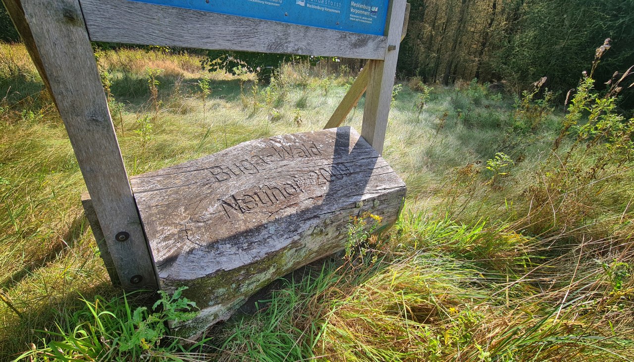 Klimatyczny las Neuhof - na Federalną Wystawę Ogrodniczą 2009, © Landesforst MV