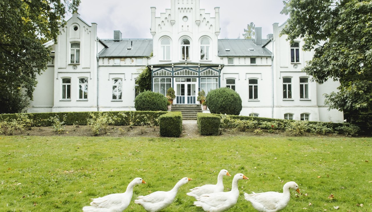 Kaeselow 2_credit vollvincent, © vollvincent