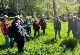 Herb round in the forest, © Petra Dittmar Herb round in the forest, © Petra Dittmar