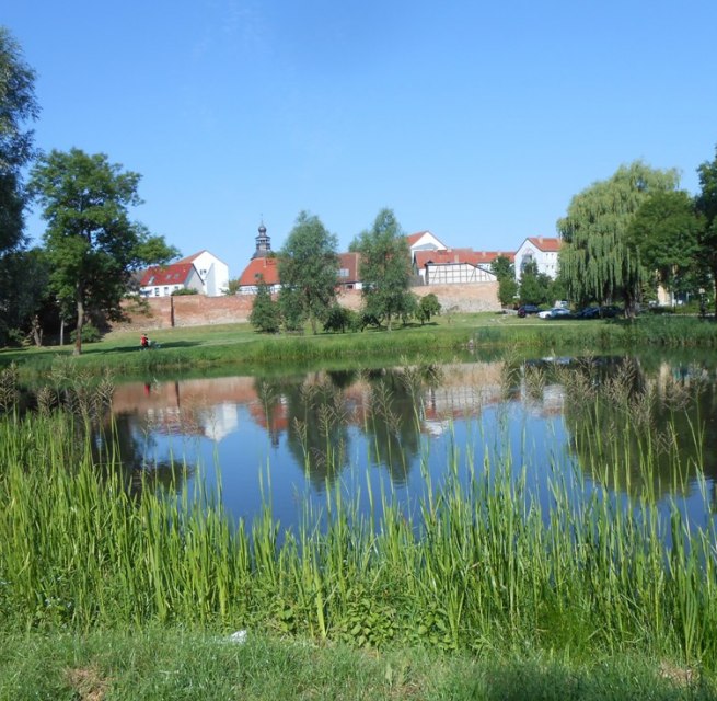 De groene oase van Malchin (uitzicht op de stad vanuit het park) // © Monika Kröger De groene oase van Malchin (uitzicht op de stad vanuit het park) // © Monika Kröger