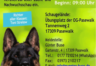 Dog show // &copy; G&uuml;nter Buse