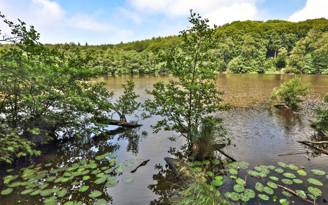 herthasee_2, © TMV/Gohlke