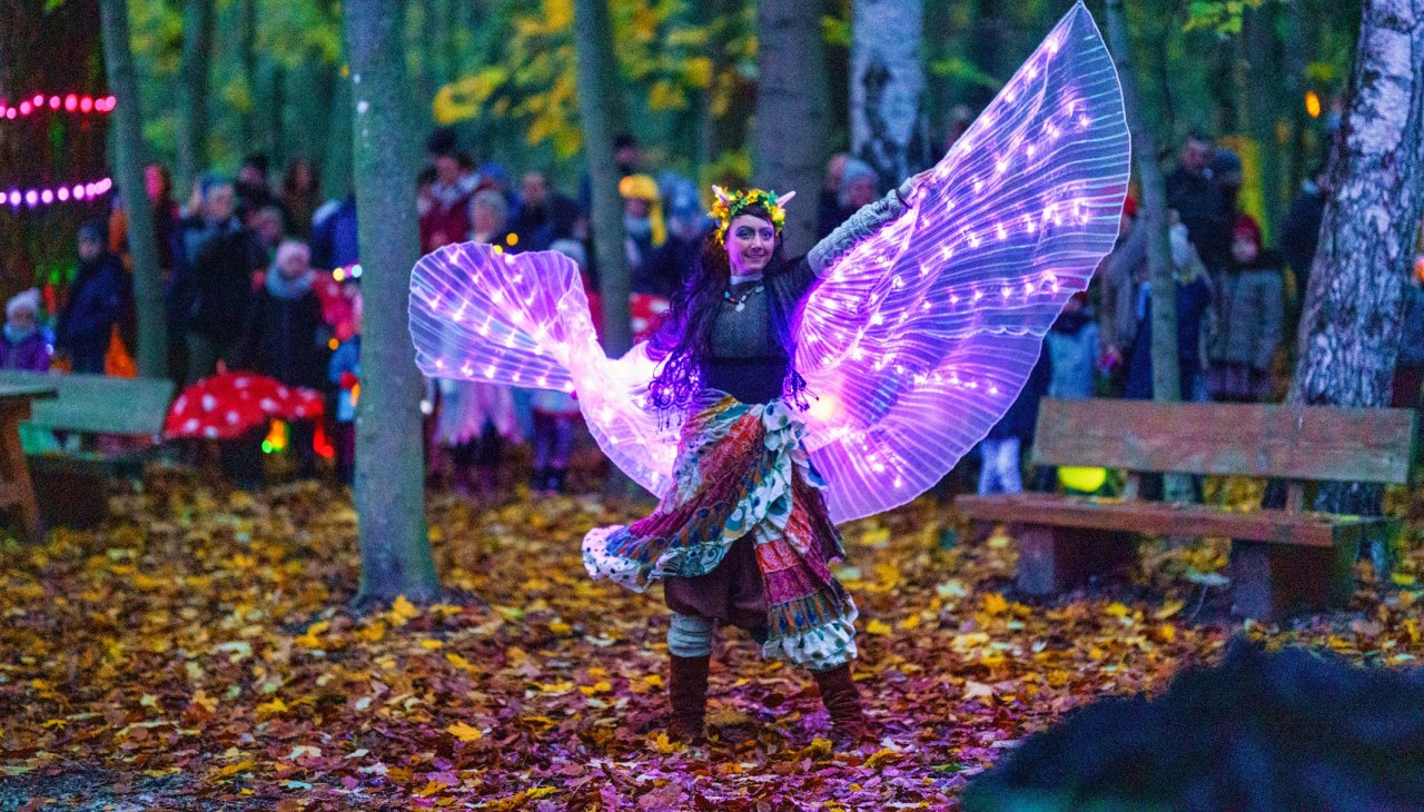 Fee op het lichtfeest in BÄRENWALD Müritz, © BÄRENWALD Müritz