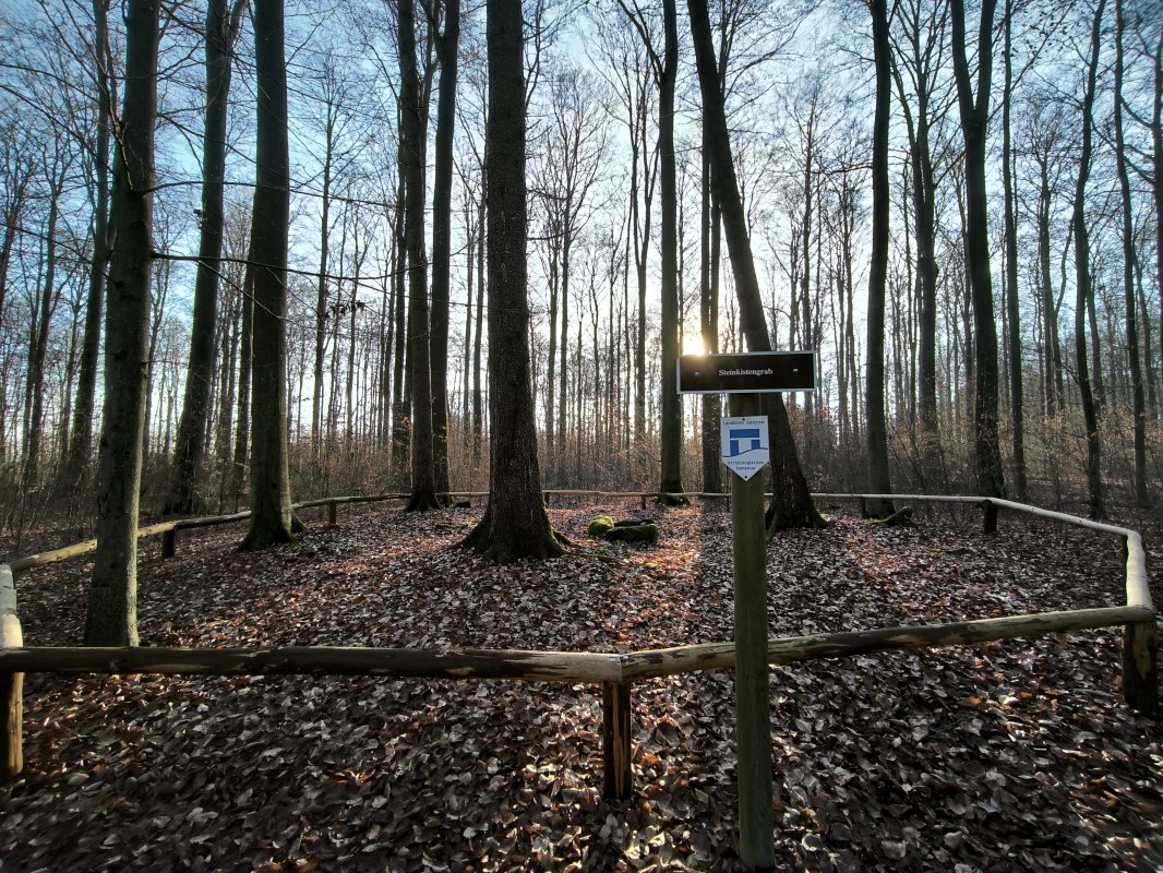 Burial site from the Neolithic period // © Jana Koch Burial site from the Neolithic period // © Jana Koch