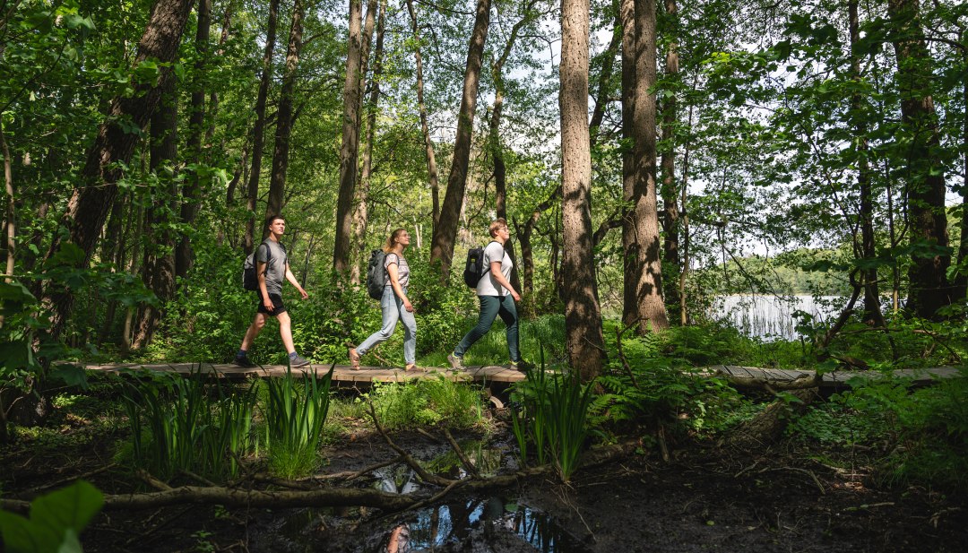 Er zijn veel manieren en paden om de natuur van het Sternberger Seenland te verkennen. Drie vrienden vertrekken te voet door de dichte bossen aan de oevers van het meer van Labenz., © TMV/Gross